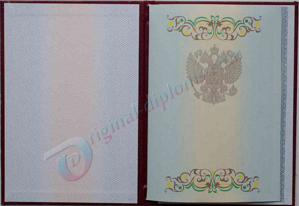 Диплом специалиста 2011-2013